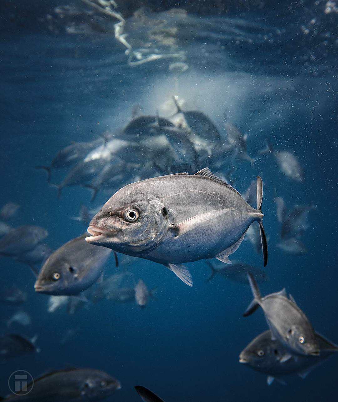 Estudia las Ubicaciones